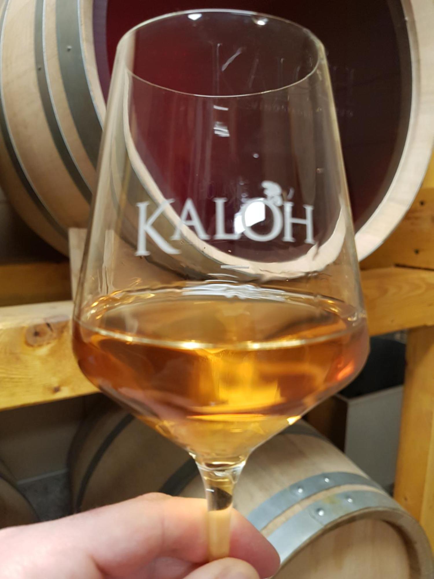 Wine House Kaloh Villa Maribor Exterior foto