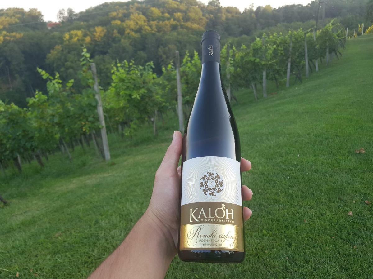 Wine House Kaloh Villa Maribor Exterior foto