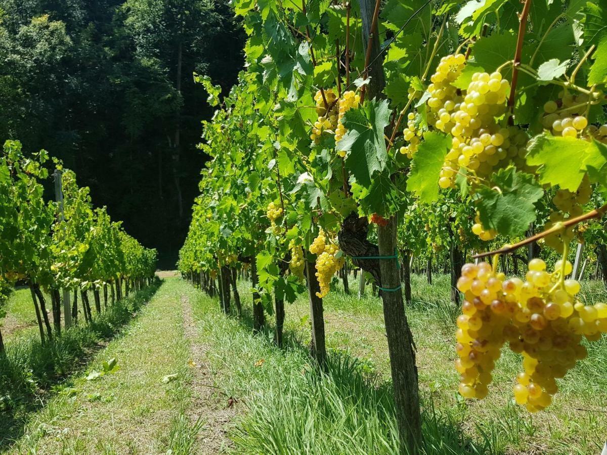 Wine House Kaloh Villa Maribor Exterior foto